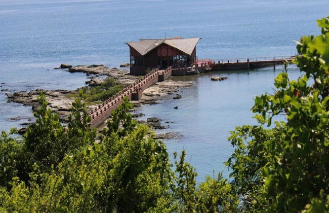 Visita histórica e panorâmica da cidade mais Praia do Forte e Ilha dos Frades - Tour de 3 días - Foto 1